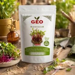 Semillas de remolacha Bull’s Blood para microgreens ecológicas, 200 g - Bavicchi GEO