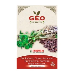 Semillas de trigo sarraceno para germinar ecológicas - Bavicchi GEO