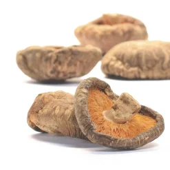 Seta Shiitake deshidratada ecológica, entera - Pilze Wohlrab