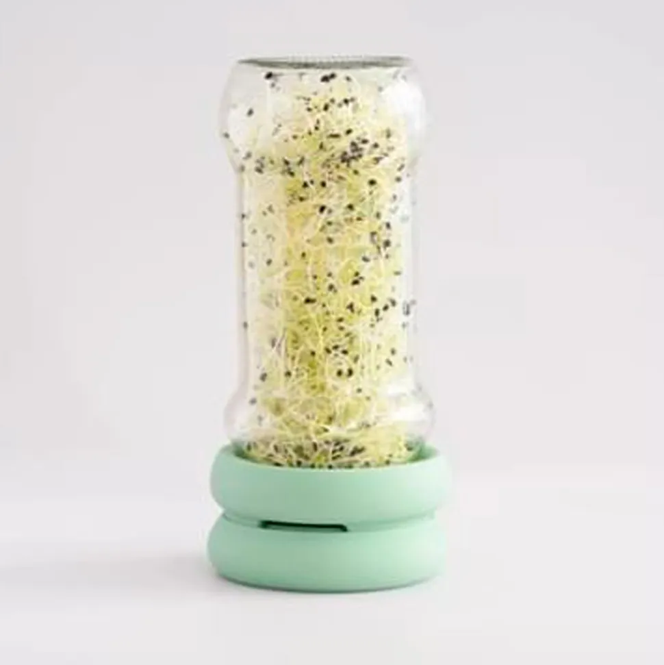 2 tapas para germinador de tarro - Food Huggers