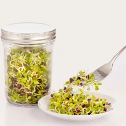Tarro de germinar con soporte de cerámica - Kilner